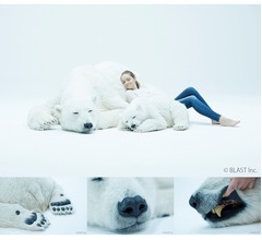 もの凄い&ldquo;本物感&rdquo;、1340万円のシロクマ親子