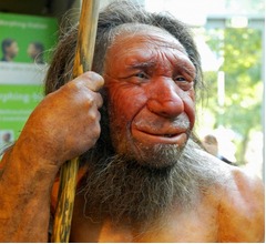 初期の人類&ldquo;人食い&rdquo;だった可能性、骨分析の結果「調理された後に食された」