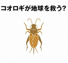 無印良品が&ldquo;昆虫食&rdquo;参戦、「コオロギせんべい」発売へ