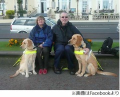 &ldquo;恋のキューピッド&rdquo;は盲導犬、訓練教室で犬も飼い主も恋に落ちる。