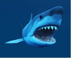 テレ東が&ldquo;サメムービー&rdquo;特集、地上波初放送の「サメ台風」など。