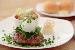 &ldquo;ハンバーグ住宅&rdquo;疑問に回答、建設価格にハンバーグ代含まれず。