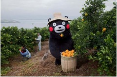 くまモンが遂に全国CMデビュー、生産者や県民の想い胸に頑張る姿描く。