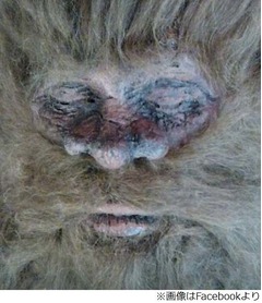 ビッグフット仕留めた証拠公開、ハンターに&ldquo;前科&rdquo;で疑問の声も。