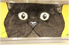 渋谷にモフモフ巨大なクロネコ、触り心地抜群の毛並みにこだわり。