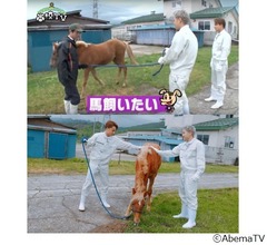 動物大好き白濱亜嵐「馬飼いたい」