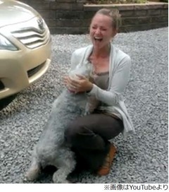 飼い主との再会に犬喜び爆発、あまりのかわいさに再生2,000万回突破。
