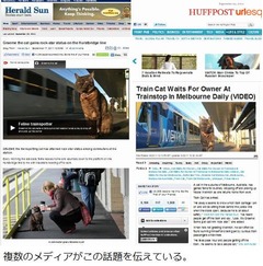 駅で毎日飼い主を待つ&ldquo;忠猫&rdquo;、朝から夕方までホームでのんびり。