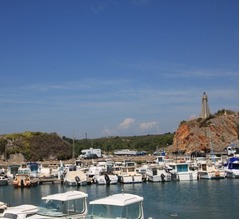 ネコ大虐殺に住民不安、1か月で200匹以上死ぬ