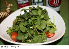 国産パクチー農家直送の専門店、「チャオパクチー 下北沢」オープン。