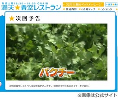 「青空レストラン」でパクチー、次回予告が公開されパク女ら歓喜。