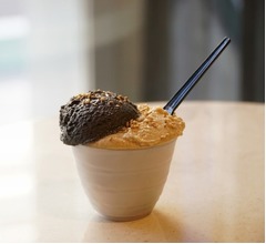 世界一濃厚目指したごまアイス専門店