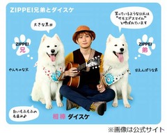 「ZIP!」のZIPPEI兄弟が急死、飼い主の車のエアコン止まり熱中症に。