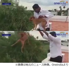 犬を屋根から放り投げ大炎上、動画公開した男たちに非難の声殺到。