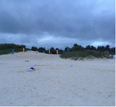 「岡田結実はどこにいる？」に苦戦の声相次ぐ