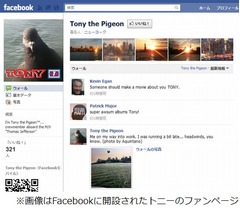 毎日シフトこなす&ldquo;お掃除ハト&rdquo;、フェリーに朝夕訪れては食べかすつまむ。