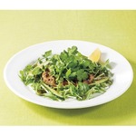 デニーズがパクチーハンバーグ、追いパクも用意