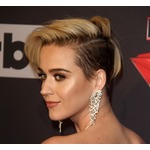 ケイティ・ペリー、交通事故死のファンを追悼