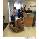 &ldquo;VIP&rdquo;扱いの太りすぎわんこ、ファーストクラスの搭乗口で激写される。