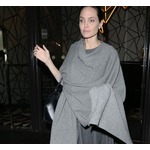 アンジェリーナ・ジョリーが一時的な親権獲得