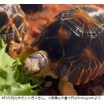 みちょぱ、夫・大倉士門の趣味に「もう怖くて」「これ以上はヤバい」