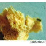 饅頭の中からネズミの糞発見、販売店の店主「黒胡麻です」と白を切る。