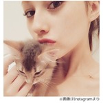 熱愛記事にダレノガレ「一文字一文字、全部あってます」「文春大好き」。