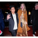 アンジェリーナ・ジョリーの息子パックス・ジョリー＝ピット、&ldquo;交通事故&rdquo;で入院