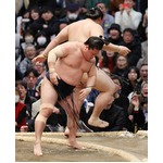 大の里を破った若隆景