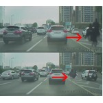 渋滞の道路を疾走する&ldquo;リアルチョコボ&rdquo;