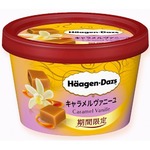 ハーゲン、2種のバニラ香るキャラメルアイス