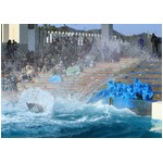 シャチが新入社員を手荒い歓迎、容赦ない祝福の水しぶきに戸惑いも。