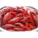 &ldquo;ザリガニの爪&rdquo;で肛門に痛み、一週間前に誤って口にした爪が引っかかる。