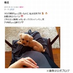 出産目前に控え絢香&ldquo;パツパツ&rdquo;のお腹「これ以上は無理じゃないか」。