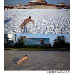 &ldquo;政府に反抗&rdquo;全裸腕立て伏せ、世界各地で目撃情報「HENTAI」。