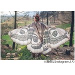 蝶や蛾の羽のような&ldquo;マント&rdquo;、手作りの幻想的な衣装が話題に。