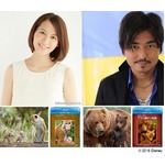 ディズニー実録大自然ドラマ、ナレーションの青木裕子＆小澤征悦が語る。