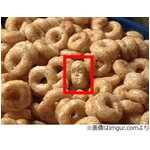 朝食に混ざっていたイラつく顔、&ldquo;感じる視線&rdquo;の正体見つけ喰う。