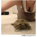 森下悠里魅せた&ldquo;カメと谷間&rdquo;、ロンハーにも登場の愛亀と2ショット。