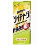 運動に最適&ldquo;プロテイン豆乳&rdquo;、大豆たんぱく質強化した豆乳飲料。