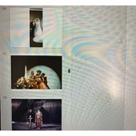 上島竜兵さん16回目の月命日、妻「寅さんのように旅に出ていると思っている」