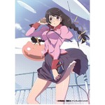 「猫物語」BDが今年最高の出足、アニメ部門で初週1位スタート。