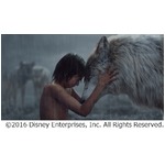 登場する&ldquo;人間&rdquo;は1人だけ、「ジャングル・ブック」日本公開日が決定。