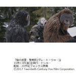 実はすごいオランウータン、&ldquo;人権&rdquo;認定も