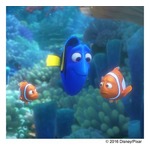 「ニモ」続編の共同監督、制作苦労話明かす