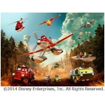 サッカー楽しむプレーンズたち、&ldquo;想いをひとつに！&rdquo;みんなで練習中。