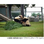 行って良かった動物園＆水族館、口コミで選ばれたランキング1位は？