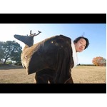 芸歴１年目の３９歳芸人、奮闘中　美大出身、「ケロのしっぽ」さん