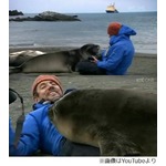 人なつこいアザラシが話題に、南極を特集した番組の一コマが人気急上昇。