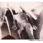 &ldquo;宇宙人を担架で運ぶ動画&rdquo;に騒然